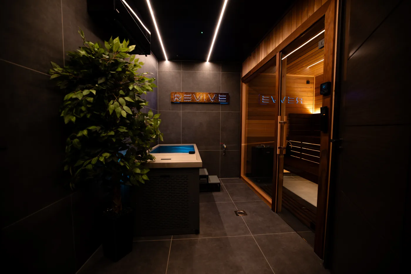 REVIVE recovery suite — sauna and cold plunge